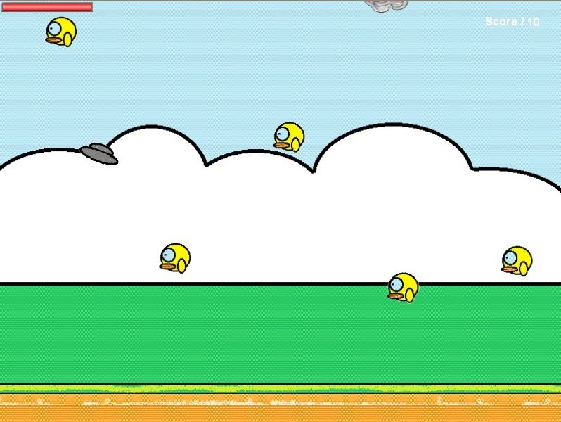 Birds